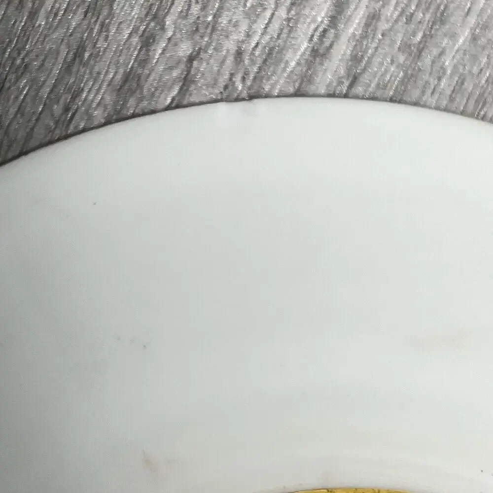 Limoges France Raphael Weill & Co San Francisco Gold Leaves Teacup & Saucer READ